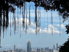 -广州市白云山风景名胜区