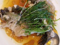 清蒸笋壳鱼-海逸海鲜酒家(古北店)