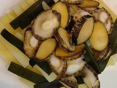 鲍鱼-中苑海韵