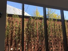 -张之洞与武汉博物馆