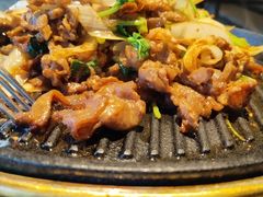 -喜悦烤鸭·新京菜(王府井店)