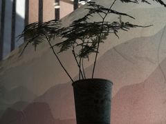 -古耳咖啡(北锣店)