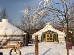 -九十九顶毡房(阜石路店)