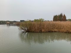 -芸海阁·农家私房菜(沙家浜景区出口店)