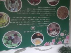 -茶油香闽南菜·花园餐厅(前埔店)