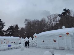 -长春市南湖公园