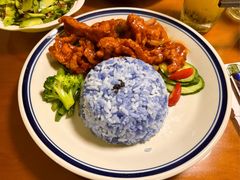 椰浆鸡饭-马来MO简餐.南洋风味料理(美食街店)