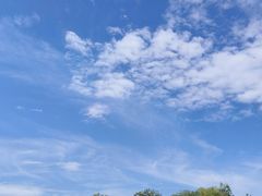 -重庆彩云湖湿地公园