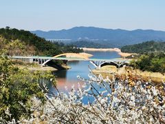 -广州市流溪河国家森林公园