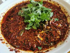 -胖大姐黄辣丁鱼庄(新津店)