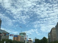 -北京励骏酒店-碧翠法国餐厅