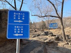 -白水寺森林公园