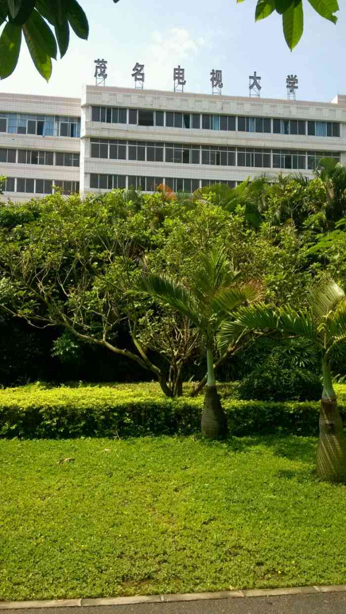 茂名广播电视大学-"什么都好,什么都好,什么都好,重要的事情.