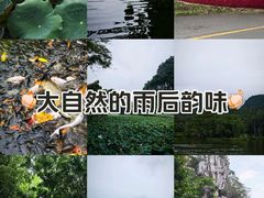 -星湖旅游景区七星岩