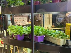 -番食园鲜食火锅(高新店)