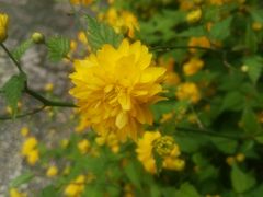 -祝家花園(伯渎港店)