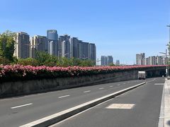-杭州湖滨in77