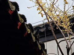 -黎里古镇
