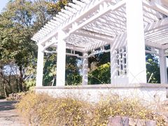 -无锡梅园公园