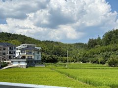 -柴火人家(桐庐总店)