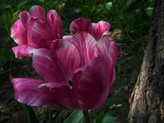 -迎泽公园