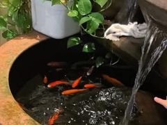 -衢农会·衢州菜·宴请(国际机场店)