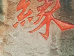 -杭州黄龙洞