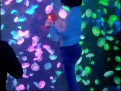 -大明湖海底世界