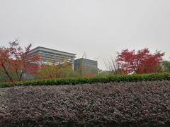 -南京国睿金陵大酒店