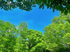 -人民公园-相亲角