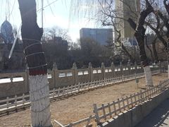 -文瀛公园