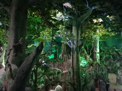 -福州罗源湾海洋世界旅游区