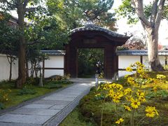 -常寂光寺