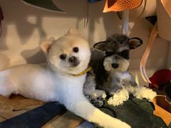 -零几体验diy皮具工作室(振业城店)