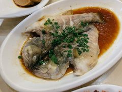 -大鸿运酒店·苏州菜·松鼠桂鱼(观前街店)