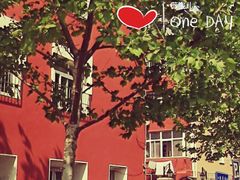 -青岛大学路小学