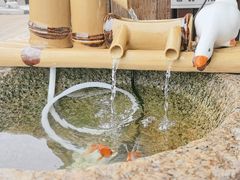 -小茶闲舍·观景商务茶馆(广州塔店)