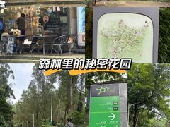 -火炉山森林公园