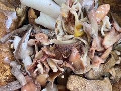 -云南野生菌石锅鱼石锅鸡(大金塔店)