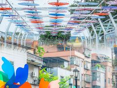 -长洲岛