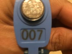 -翡翠湖迎宾馆·游泳馆