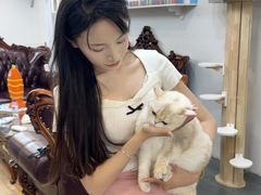 -青奢宠物·青奢猫舍