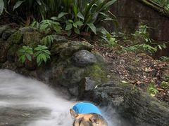-西岭雪山大飞水景区