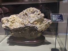 -房山世界地质公园博物馆