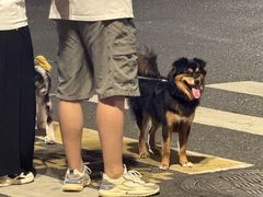 -浙江国际赛车场