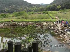 -广州市石门国家森林公园