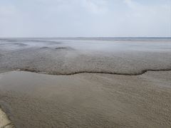 -观潮胜地公园