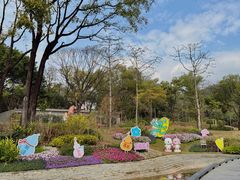 -云溪植物园