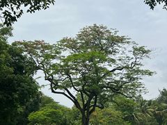 -中国科学院西双版纳热带植物园