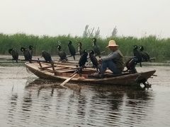-白洋淀景区